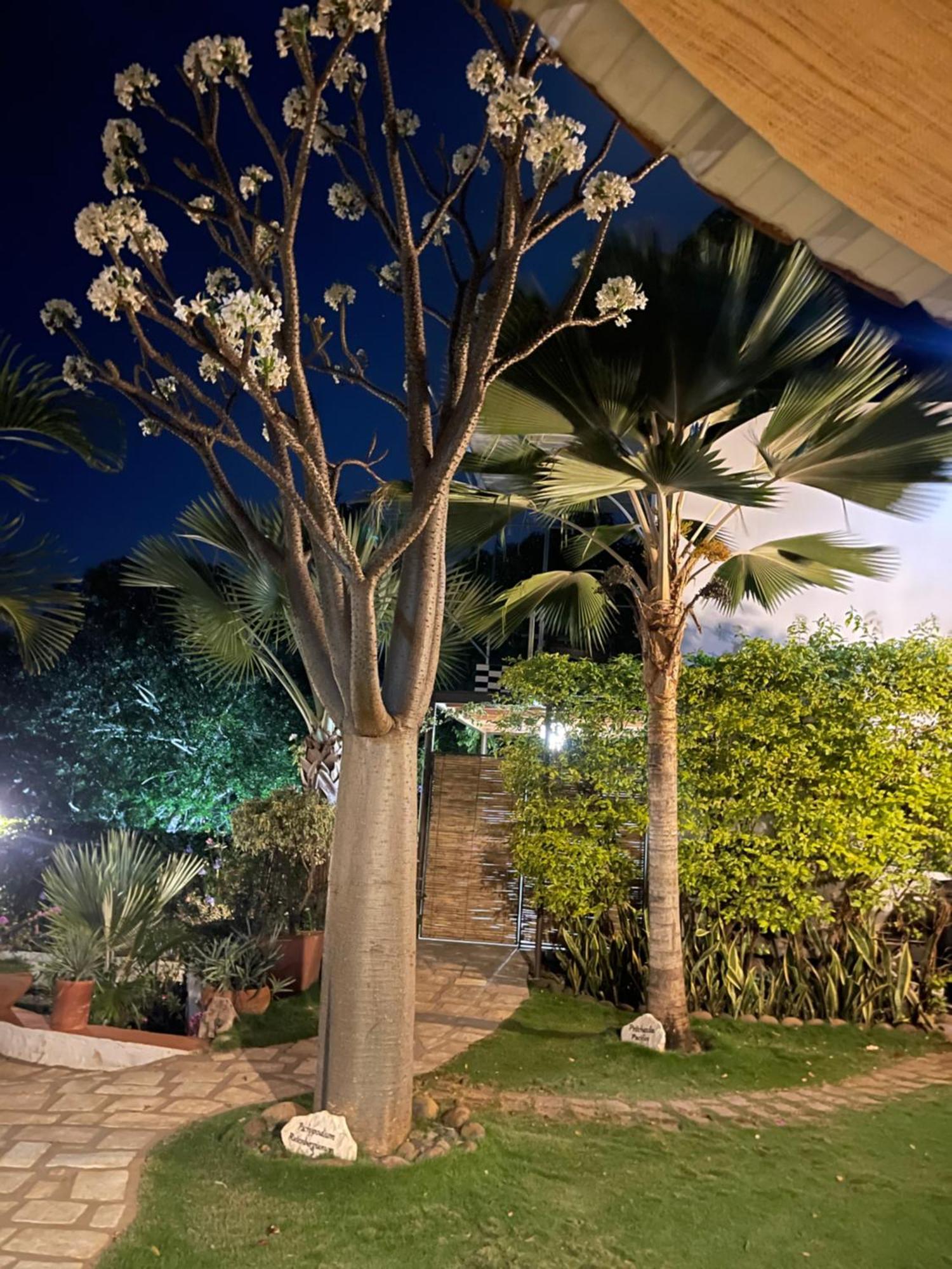 Le Jardin Exotique Hotel Antsiranana Luaran gambar