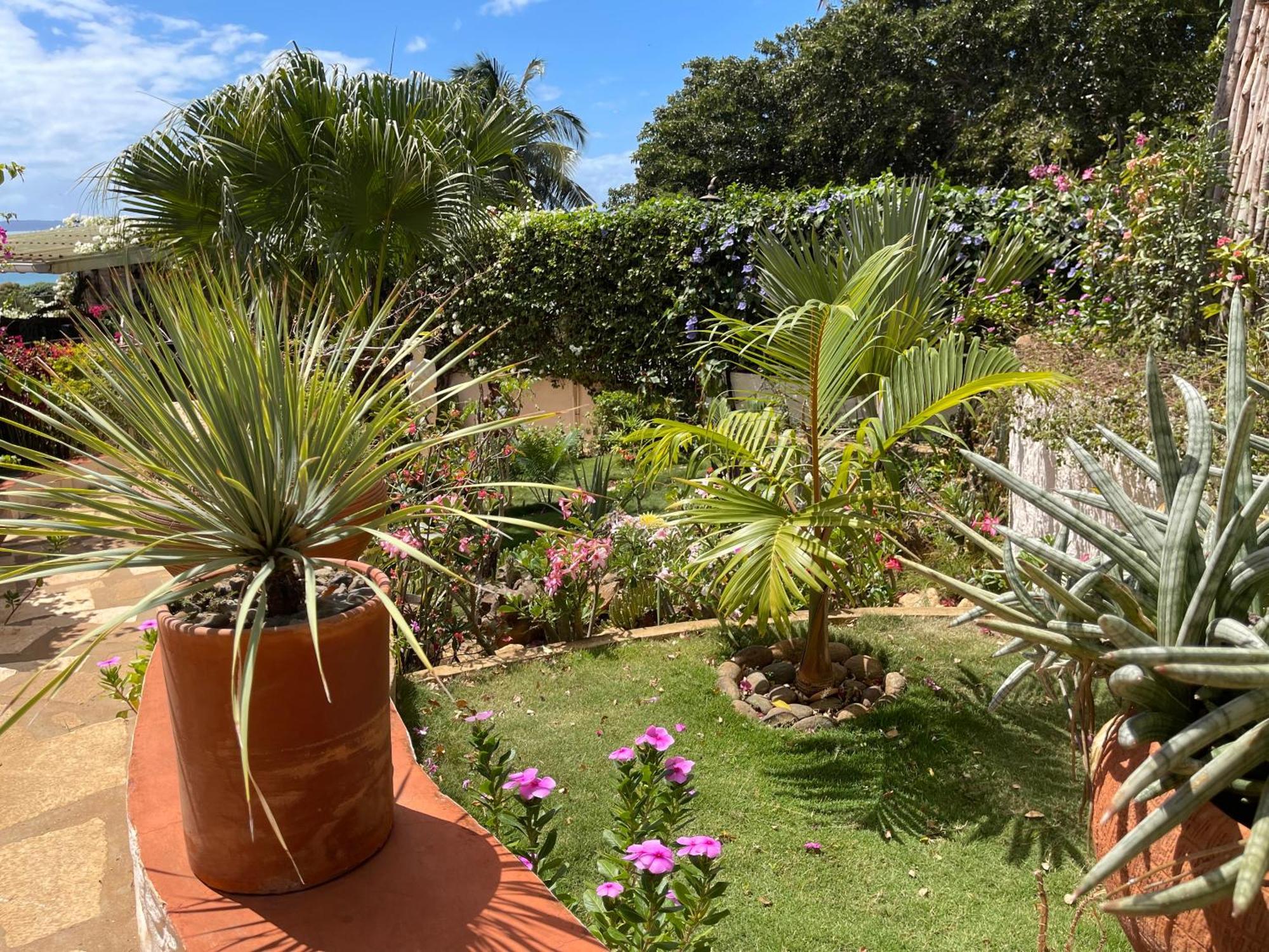 Le Jardin Exotique Hotel Antsiranana Luaran gambar