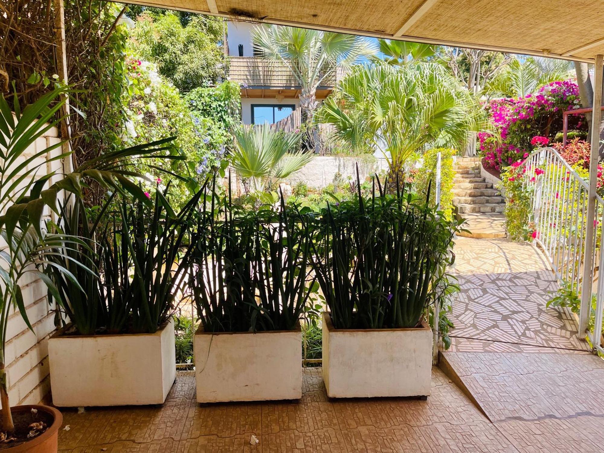 Le Jardin Exotique Hotel Antsiranana Luaran gambar