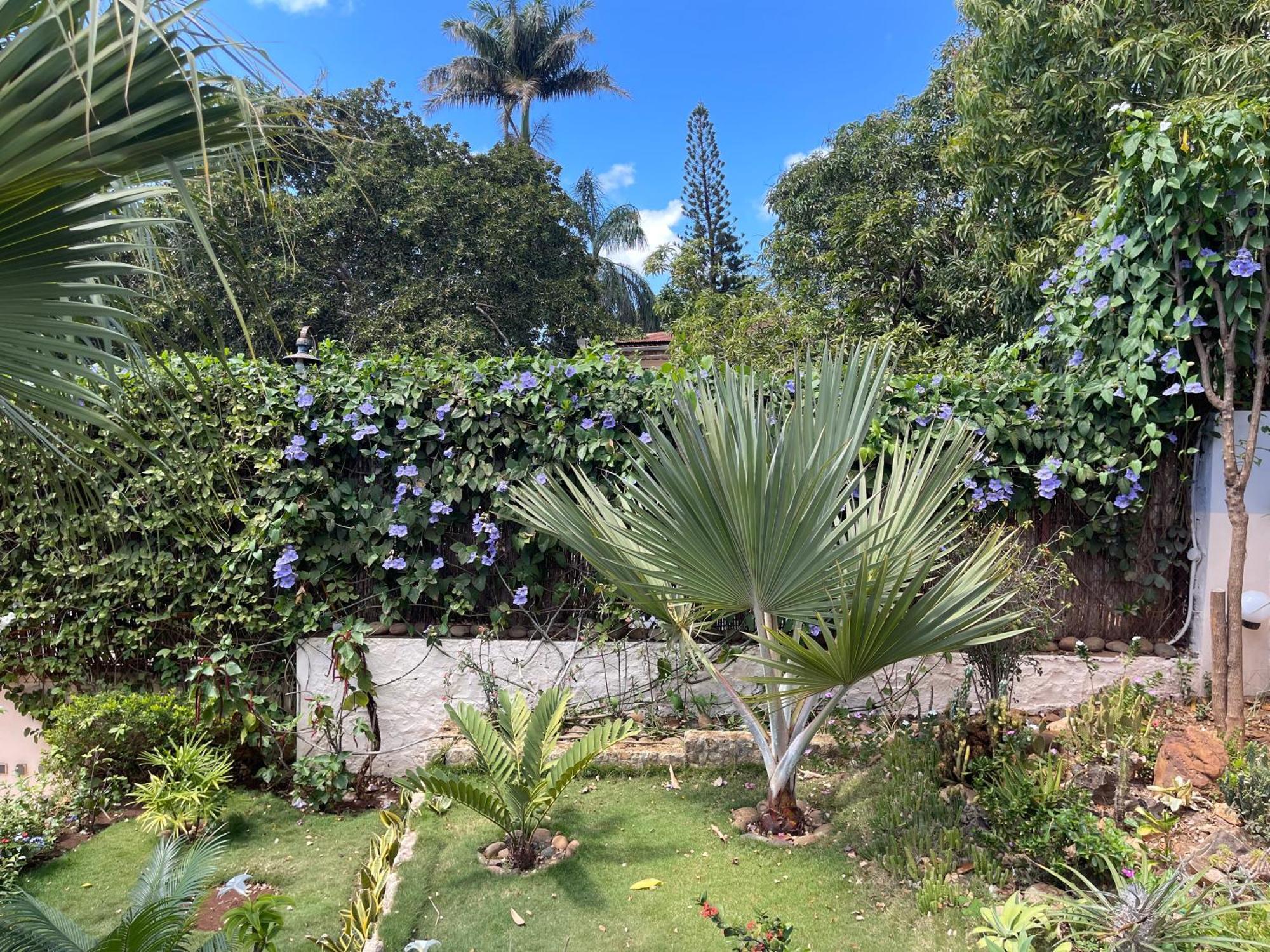 Le Jardin Exotique Hotel Antsiranana Luaran gambar